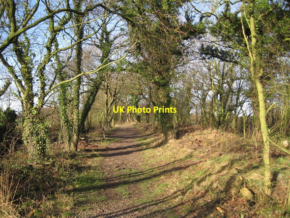 Photo 6"x4" Cronton Lane Cronton c2012