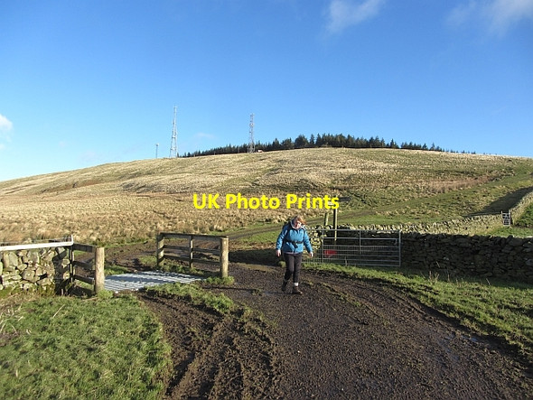 Photo 6"x4" Meigle Hill Caddonlee c2012