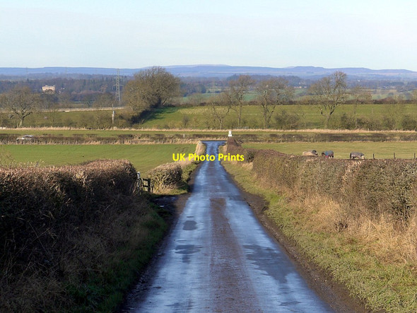 Photo 6"x4" Minor road north of East Heddon Medburn c2012