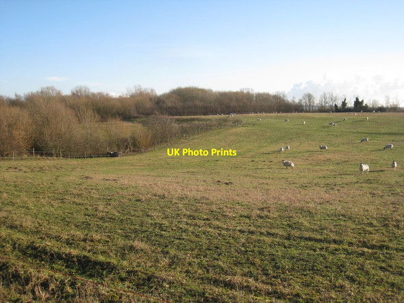 Photo 6"x4" Partly reclaimed former sand pit Misson c2012