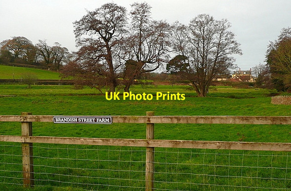 Photo 6"x4" View from Brandish Street Farm Brandish Street c2011