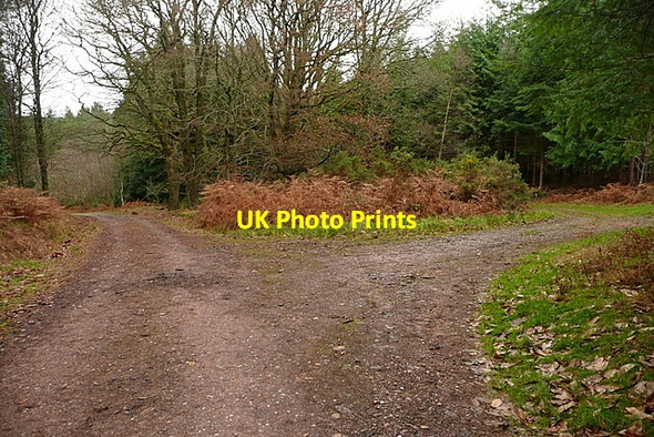 Photo 6"x4" Junction in Hats Wood Cowbridge\/SS9542 c2011
