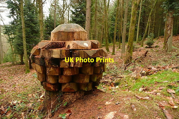 Photo 6"x4" Sculpture in Broadwood Plantation Cowbridge\/SS9542 c2011