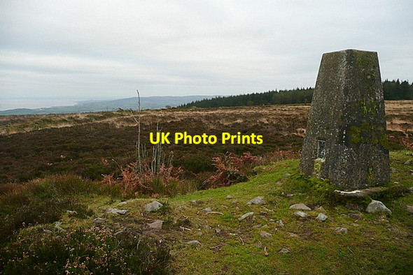 Photo 6"x4" Trig point on Withycombe Common Churchtown\/SS9738 c2011