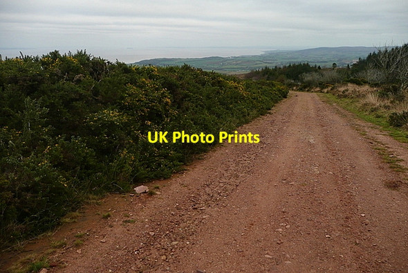 Photo 6"x4" Crossing Withycombe Common Churchtown\/SS9738 c2011