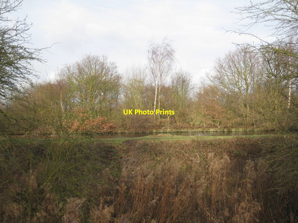 Photo 6"x4" A glimpse of the canal Fishlake c2012