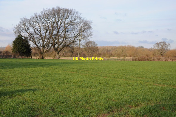 Photo 6"x4" Farmland near Willersley Willersley c2012