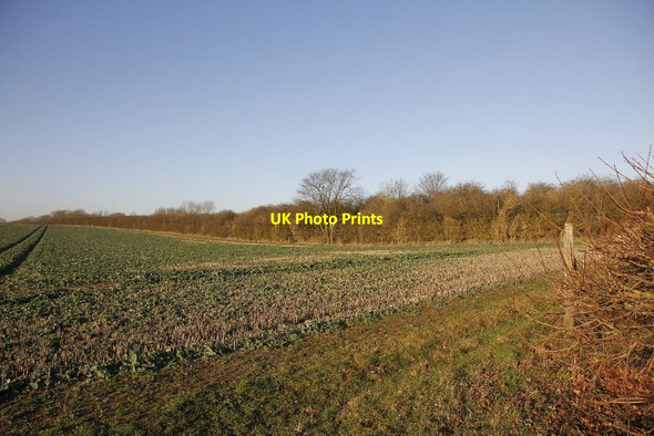 Photo 6"x4" The Stratford-upon-Avon and Midland Junction Railway Horton\/SP8154 c2012
