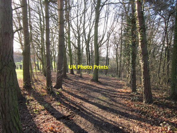 Photo 6"x4" Walking towards Garforth golf course Barnbow Carr c2012
