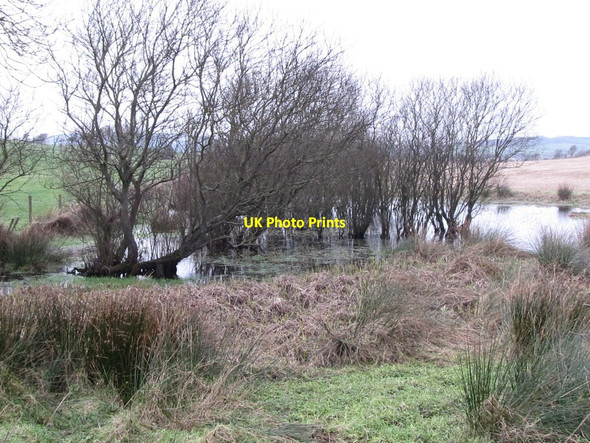 Photo 6"x4" Kettle-hole besides the Bright Road Killough c2012