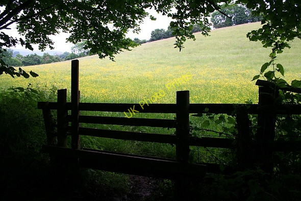 Photo 6"x4" Stile to buttercup meadow Chandler's Cross\/SO7738 c2008