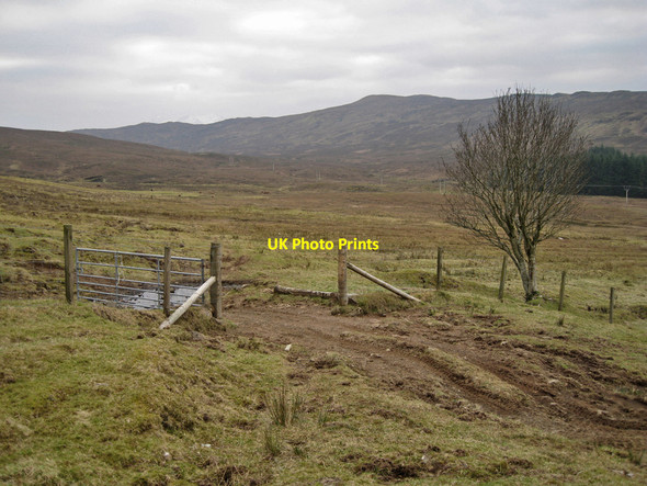 Photo 6"x4" Gateway to the moor Mugeary c2012