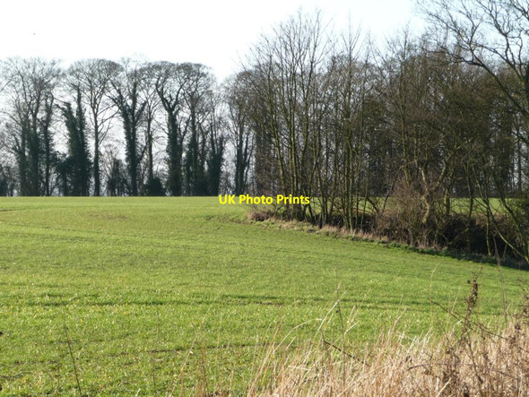 Photo 6"x4" The edge of the Watchley Crag woodlands Goldthorpe c2012
