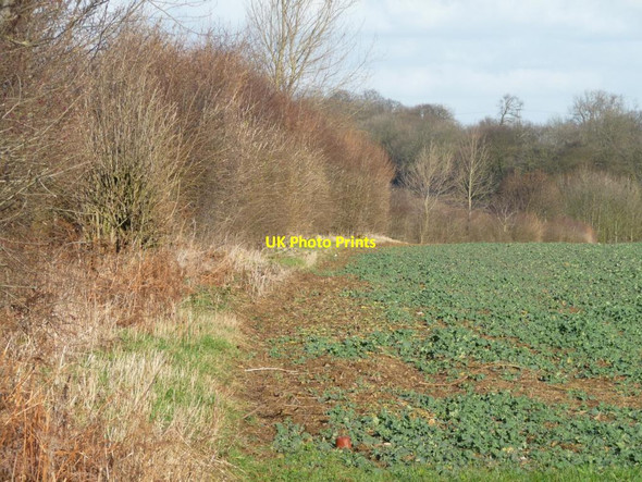 Photo 6"x4" Field edge along Street Lane Brodsworth c2012