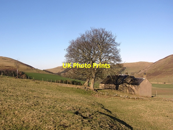 Photo 6"x4" The Raw Mitchell Hill\/NT0633 c2012