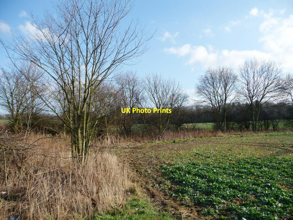 Photo 6"x4" Hooton Pagnell Common is now a crop field Hooton Pagnell c2012