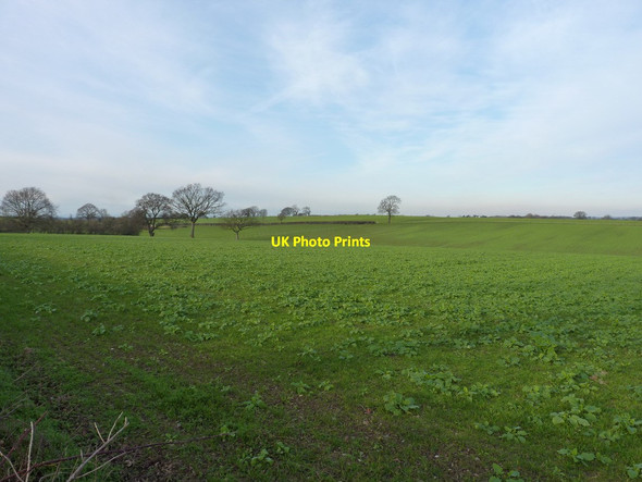 Photo 6"x4" Farmland - Wood Hall Hanwood c2012