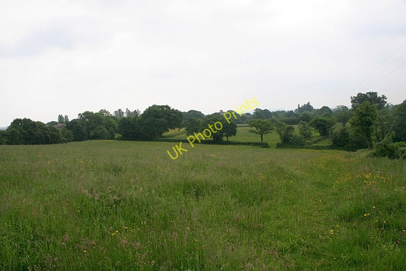 Photo 6"x4" Meadow near Chandler's Cross Chandler's Cross\/SO7738 c2008