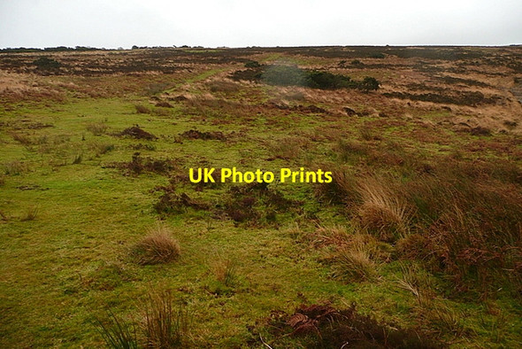 Photo 6"x4" On Tarr Ball Hill Doverhay c2011