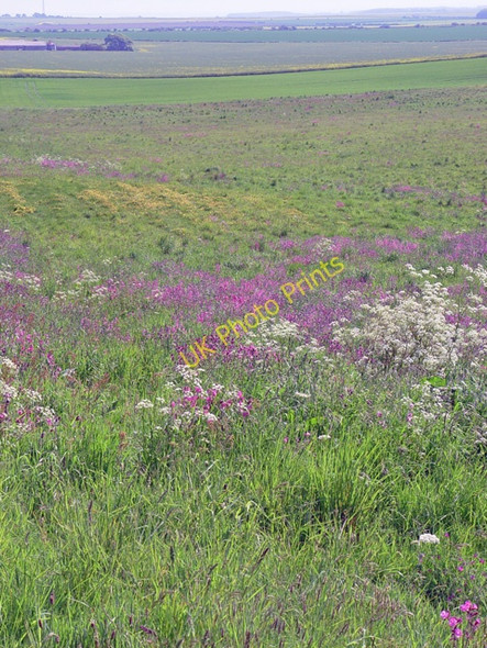 Photo 6"x4" Speeton Moor from above Buckton Cliffs Buckton\/TA1872 c2008