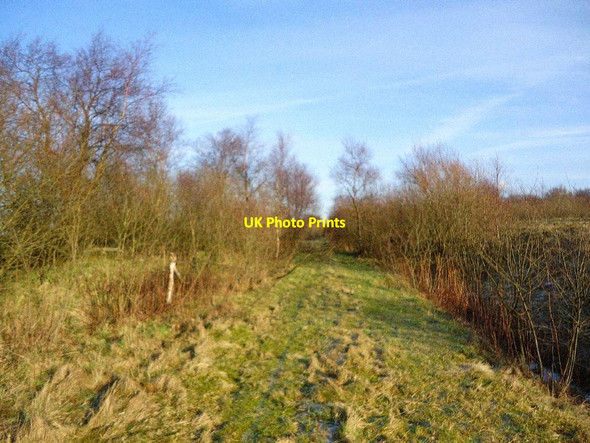 Photo 6"x4" Arden Moss, Slamannan Railway [2] Plains\/NS7966 c2012