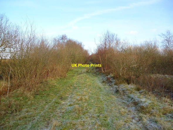 Photo 6"x4" Arden Moss, Slamannan Railway [3] Caldercruix c2012