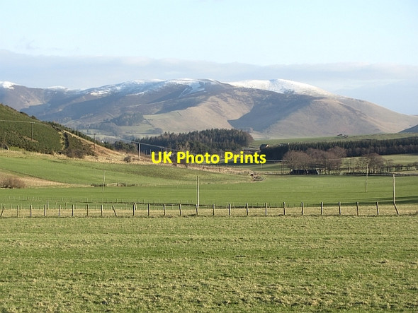 Photo 6"x4" Grassland, Blendewing Mitchell Hill\/NT0633 c2012
