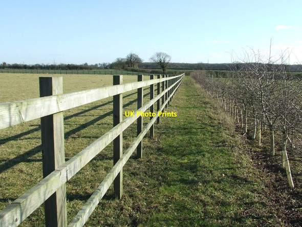 Photo 6"x4" Paddock Fencing Aldham\/TM0445 c2012