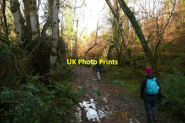 Photo 6"x4" Bridleway following the River Avill Cutcombe c2012
