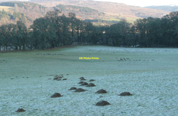 Photo 6"x4" A profusion of molehills Logierait c2012