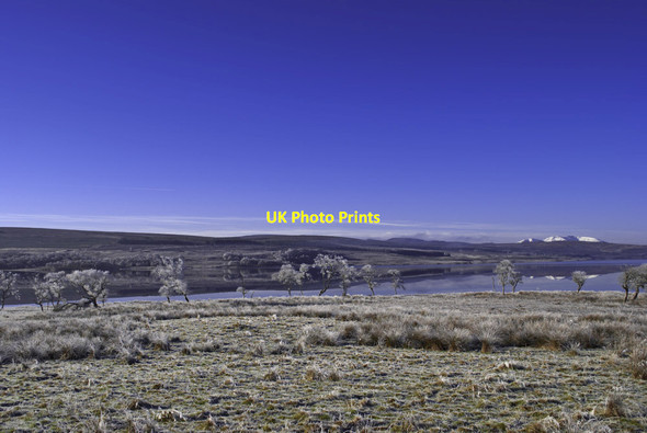 Photo 6"x4" Frosted trees by Loch Shin Achnairn c2012