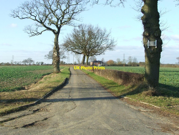 Photo 6"x4" Hadleigh Farm The Woodlands\/TM0540 c2012