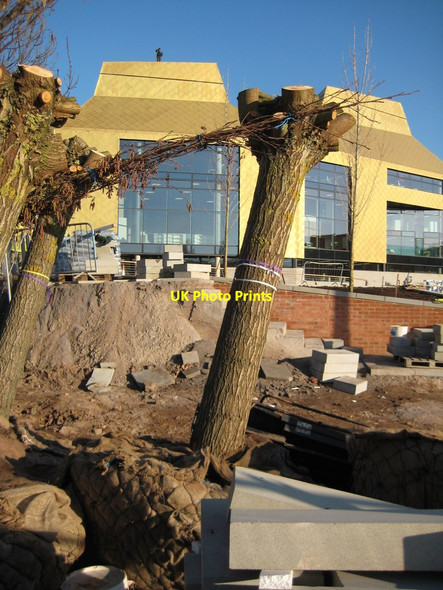 Photo 6"x4" Trees in front of The Hive, Worcester Worcester c2012