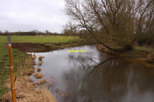 Photo 6"x4" The River Cherwell looking downstream Kidlington c2012