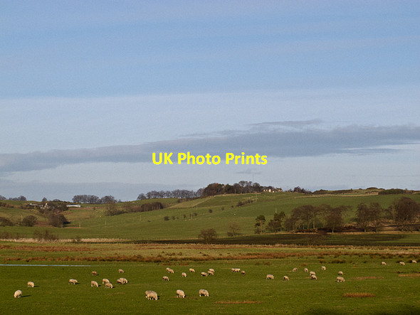 Photo 6"x4" Farmland near Powmill Powmill\/NT0298 c2012