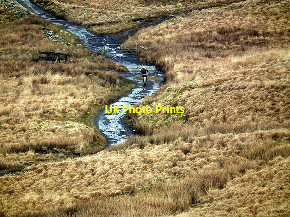 Photo 6"x4" A cyclist heads for Llyn Syfydrin Cwmsymlog c2012