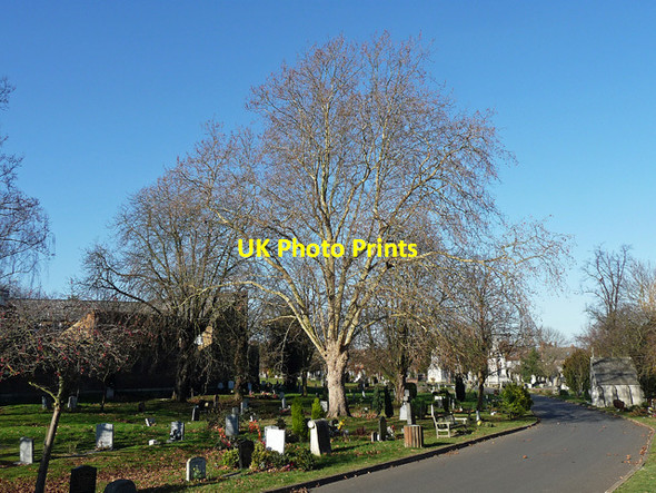 Photo 6"x4" Path, West Norwood Cemetery (5) Streatham c2012