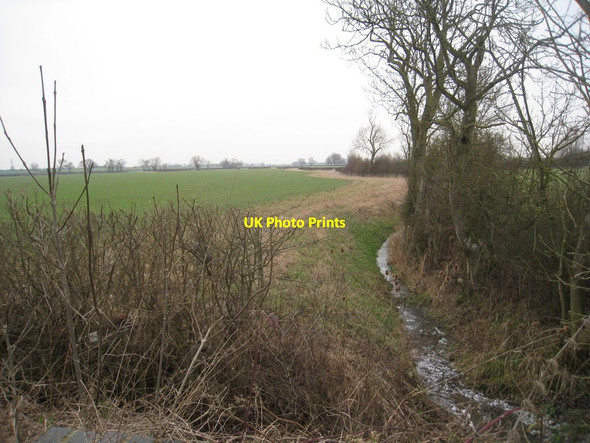 Photo 6"x4" A tributary of the River Smite Colston Bassett c2012