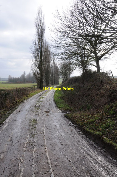 Photo 6"x4" Lane to Woodend Church End\/SO8936 c2012