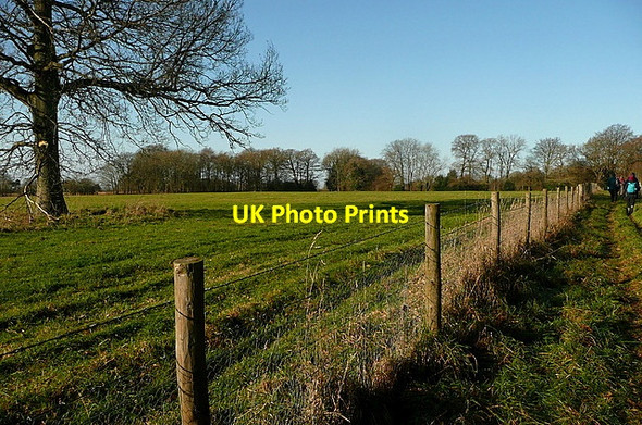 Photo 6"x4" Footpath to Ludshott Common Bramshott c2012