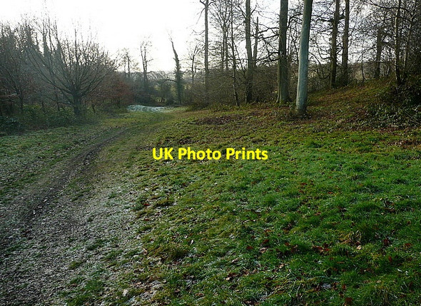 Photo 6"x4" In Little Cookshall Wood High Wycombe c2012