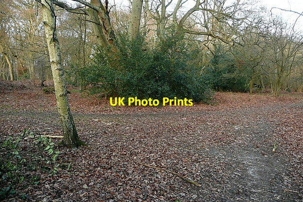 Photo 6"x4" Naphill Common Hunt's Hill c2012