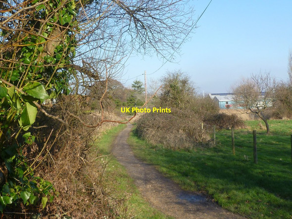 Photo 6"x4" Lymington, Pinkney Path Lymington c2012