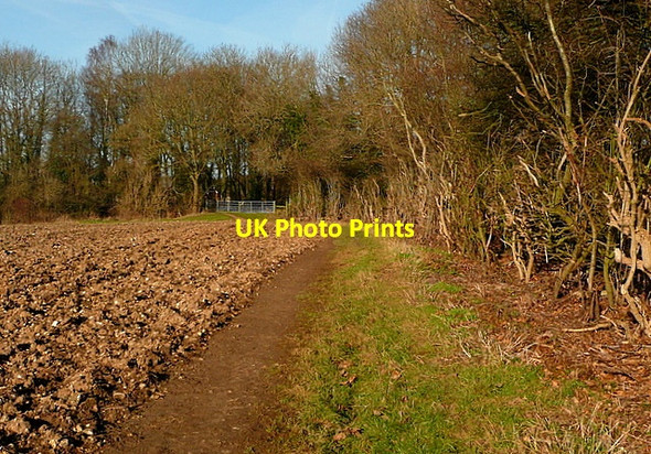 Photo 6"x4" Footpath past Raans Farm Amersham c2012