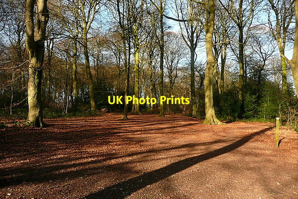 Photo 6"x4" Parsonage Wood Amersham c2012