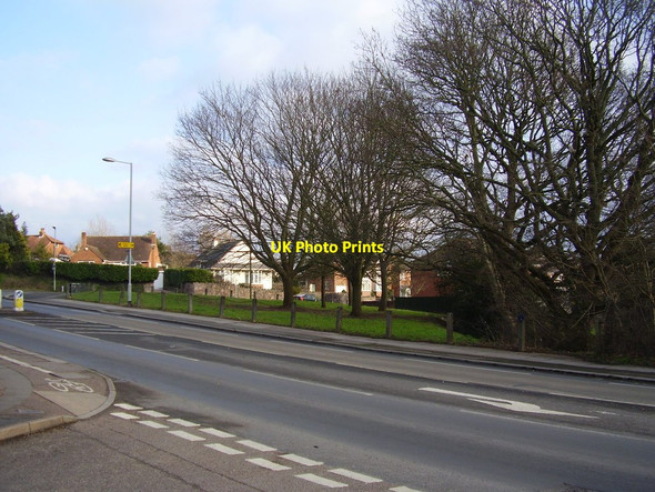 Photo 6"x4" Winter trees Exeter c2012