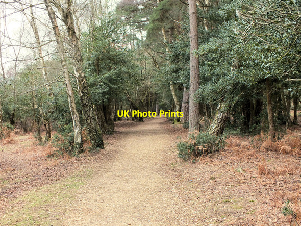 Photo 6"x4" Ober Water Trail North Weirs c2012