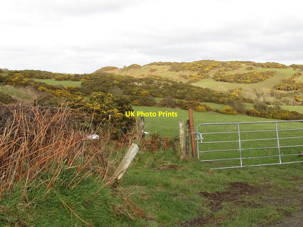 Photo 6"x4" Pasture land and whin topped ridges above Orchard Road Dundrum\/J4036 c2012