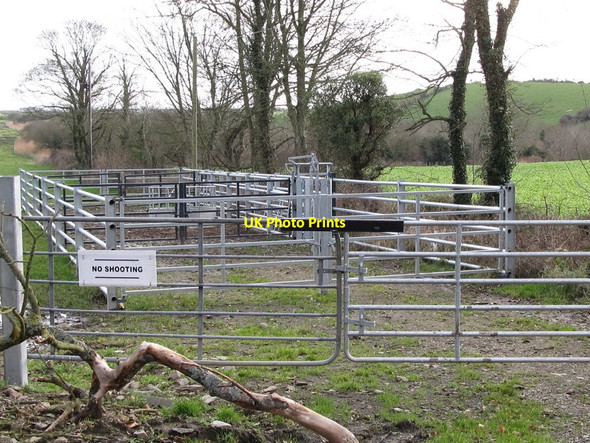 Photo 6"x4" Modern sheep fold on Orchard Road Killough c2012