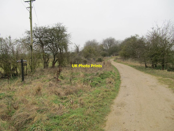 Photo 6"x4" Bridge in the distance Compton\/SU5280 c2012